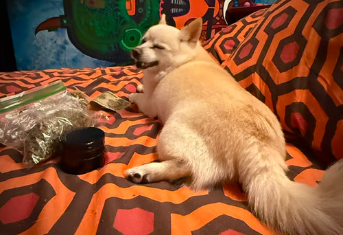 Poppi's Posters- 8x11 Full Sized Print