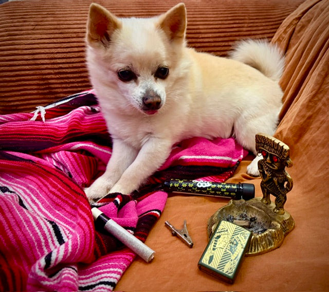 Poppi's Posters- 8x11 Full Sized Print