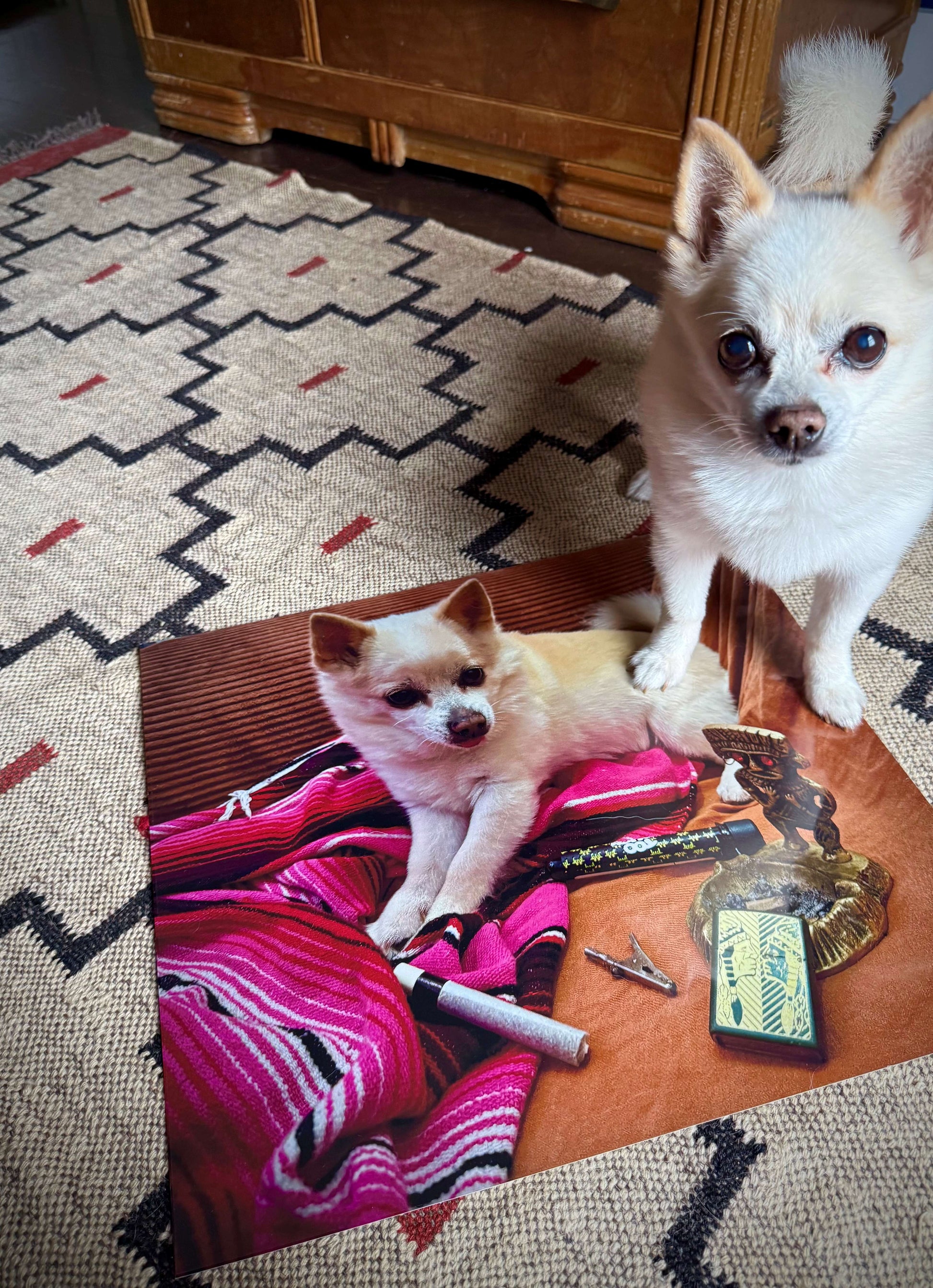 Poppi's Posters- 8x11 Full Sized Print