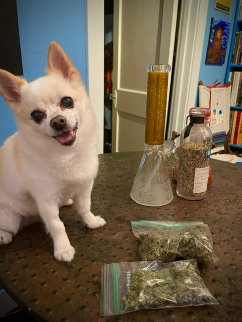 Poppi's Posters- 8x11 Full Sized Print