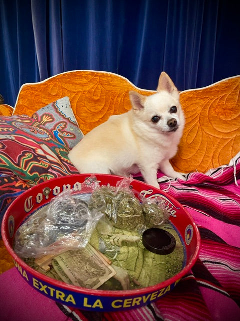 Poppi's Posters- 8x11 Full Sized Print