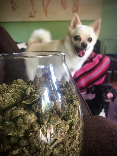 Poppi's Posters- 8x11 Full Sized Print